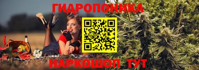 a pvp Сланцы