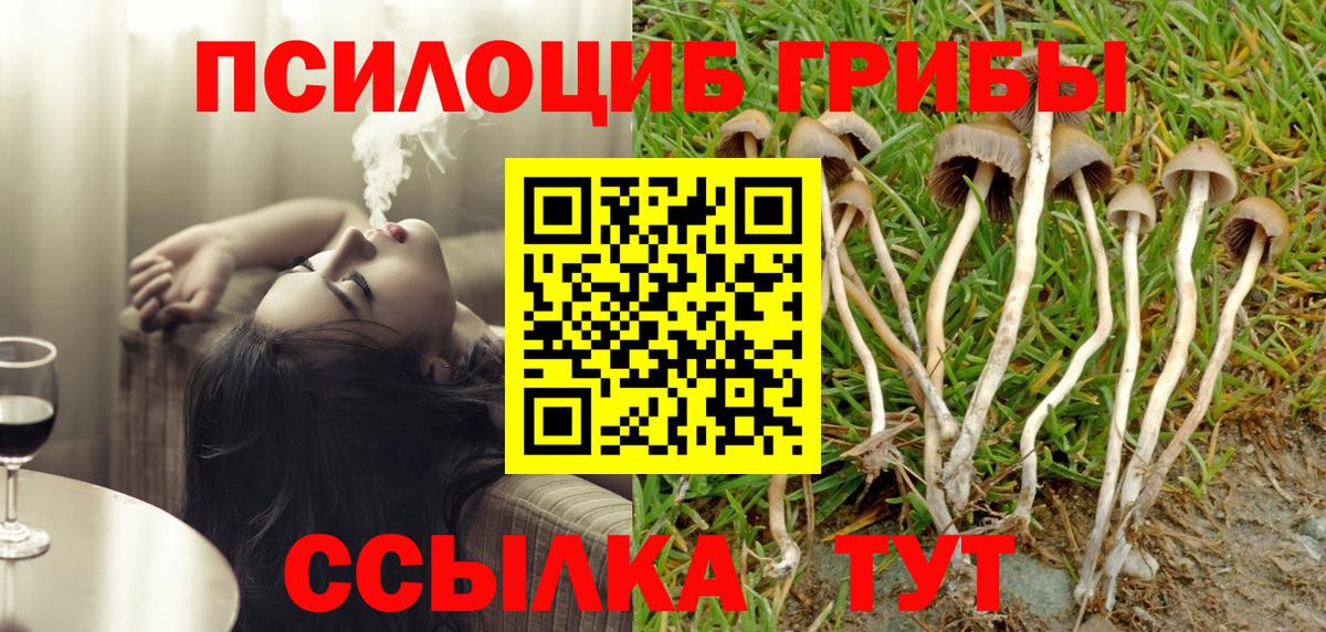 магазин продажи наркотиков  Псилоцибиновые грибы мухоморы  Вход с VPN  Отрадный  Галлюциногенные грибы Magic Shrooms 